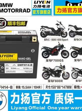 宝马C650/F700/F800GS/F900R/R1200GS水鸟拿铁R1250GS/F750GS电瓶