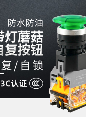 LA38 11DM 蘑菇头带灯 自复 自锁开关 电源启动停止控制按钮 22MM