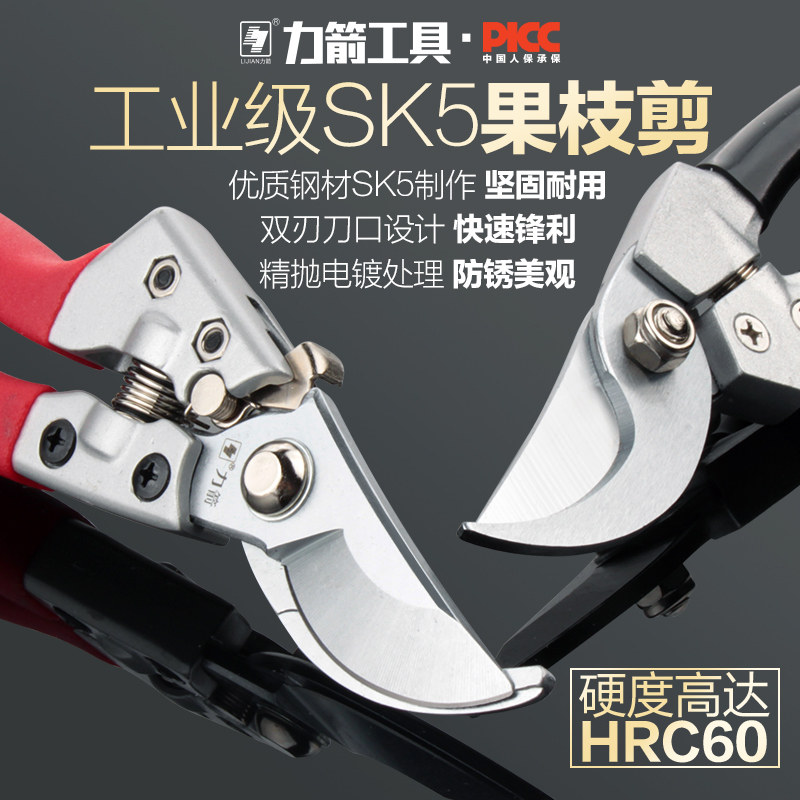 力箭园艺剪刀8寸树枝剪刀果枝剪园林剪刀园丁剪修花剪刀修枝剪刀
