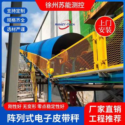 RCE-ABS阵列式电子皮带秤水泥钢铁冶金高精度电子皮带秤稳定性好