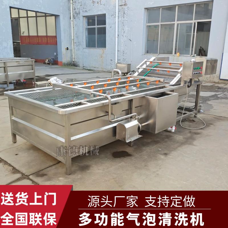 绿豆芽黄豆芽气泡清洗机新疆大枣去灰清洗机圣女果小柿子清洗机