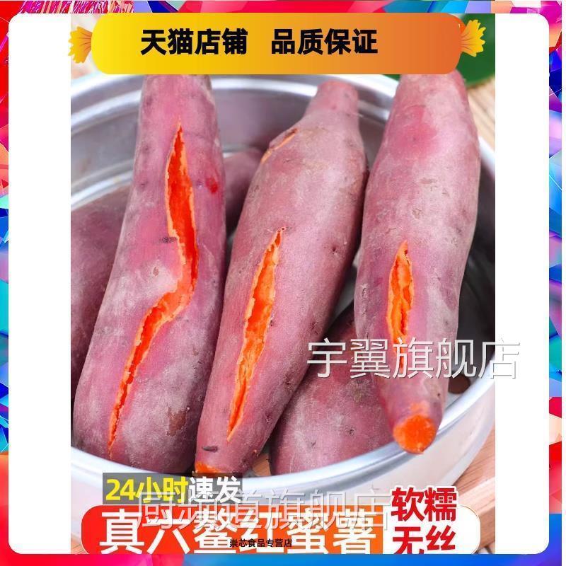 六鳌蜜薯沙地红心板栗红薯新鲜地瓜糖心番薯农家自种山芋西瓜红