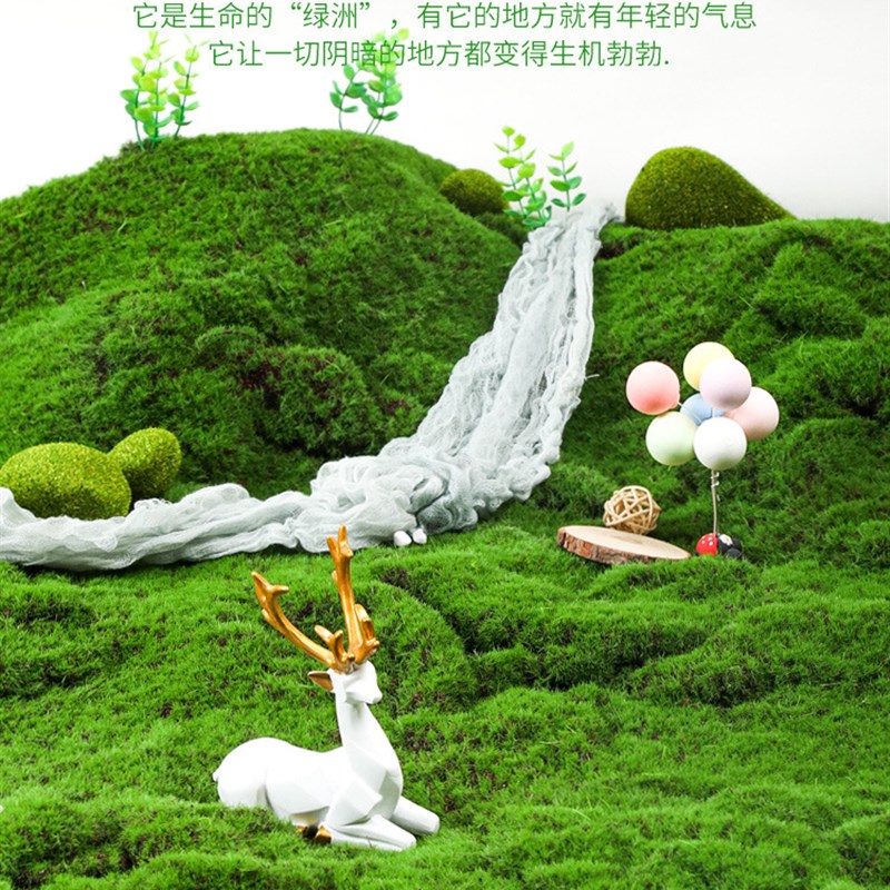 仿真苔藓绿植盆景造景植物墙草皮DIY假青苔橱窗装饰铺面人造草坪