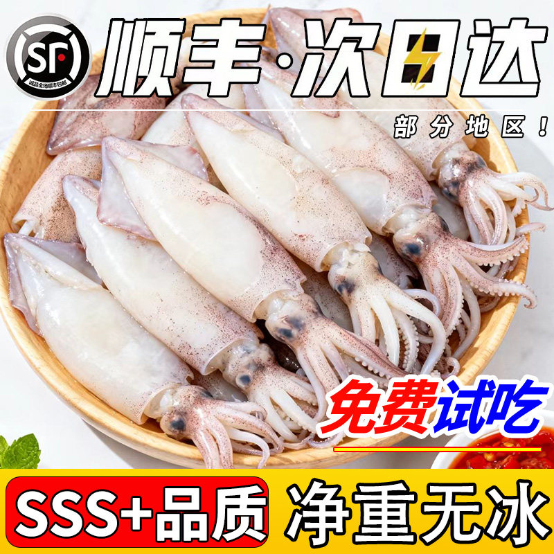 【顺丰直达】特级脆口小管鱿鱼！