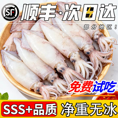 【顺丰直达】特级脆口小管鱿鱼！