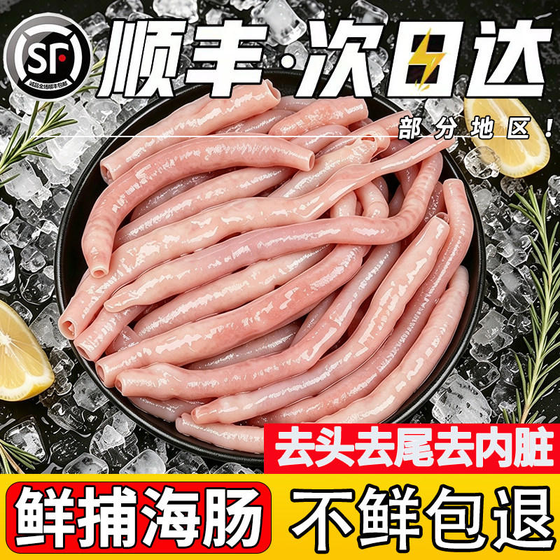 【顺丰速运】新鲜精品海肠免处理
