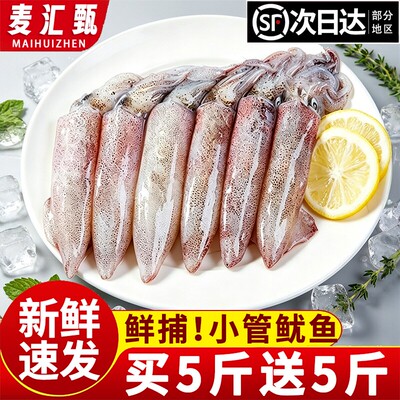 【顺丰上门】鲜冻海捕小管鱿鱼！