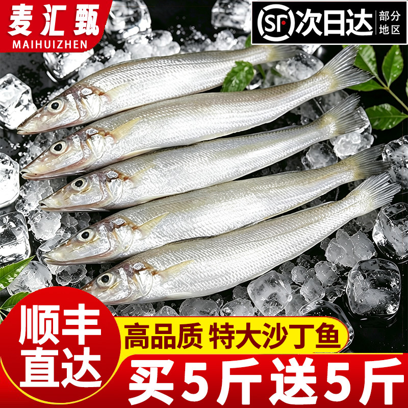 【顺丰上门】新鲜海捕特大沙丁鱼