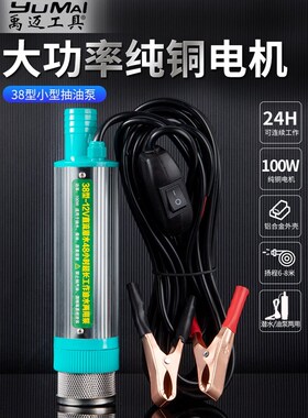 小型抽油泵家用抽柴油潜水泵12V24v220V电动油抽子神器加油机38型
