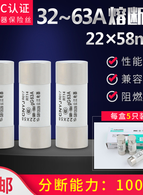 陶瓷保险丝管熔断器芯R017 RO17 22*58 32A50A63A80A100A125A