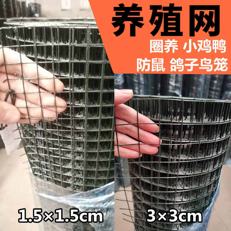 荷兰网铁丝网围栏家用养殖拦养鸡防鼠隔离网塑料栅栏防护网护栏网