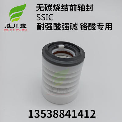 PVDF铁氟龙前后轴封机封大头泵密封件自吸泵后轴封马肚泵SSIC前轴