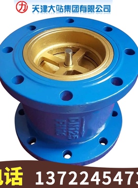 天津大站力字牌阀门 HC41X-16铸铁法兰消声立式止回阀DN40-DN200