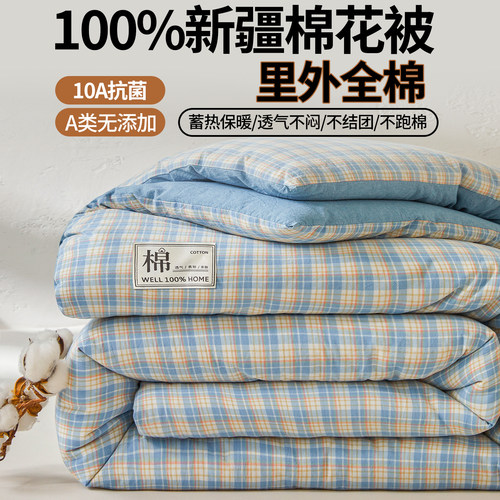 A类新疆棉花被四季通用春秋冬被