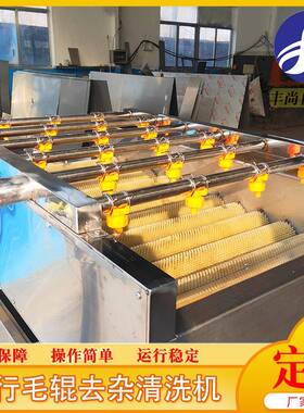 供应橘子苹果磨皮抛光清洗机食品高压喷淋平行式清洗机设备