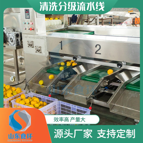 果蔬水果分选机 不伤果农产品橙子沃柑分拣选果机 柑橘芒果分级机