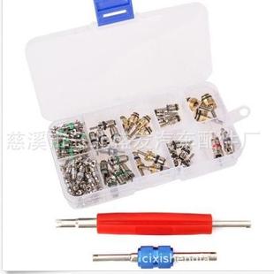 100 空调气门芯 102件套 134A气门芯组合