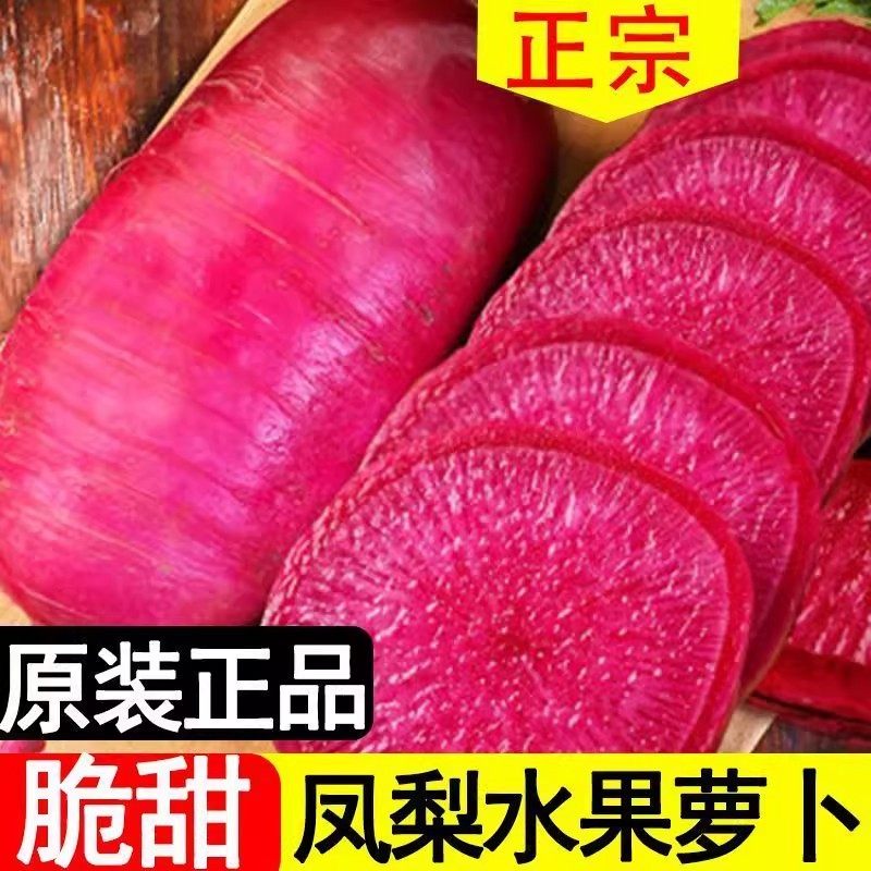 凤梨红心水果萝卜种子红皮红心水果萝卜种子春秋四季播蔬菜种子