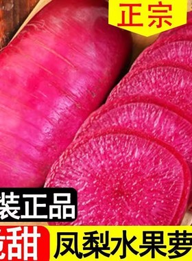凤梨红心水果萝卜种子红皮红心水果萝卜种子春秋四季播蔬菜种子