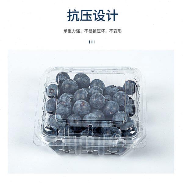 一次性水果盒子带盖透明塑料蓝莓盒125克包装盒一斤装水果包装盒