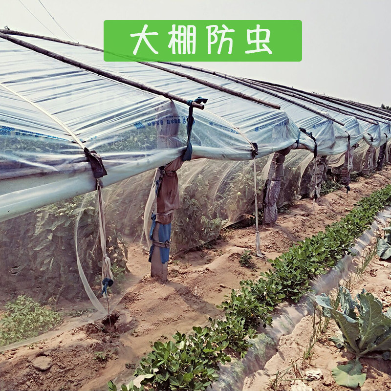 防虫网大棚纱网果树罩莲雾果蝇脐橙猪场蚊蝇牛蛙养殖青蛙围网,农机/农具/农膜,农用防虫网,淘宝优惠券,粉丝福利购,淘宝优惠卷