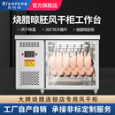 斯柯纳晾鸭柜商用风冷烧鹅烧腊乳鸽五花肉烤鸭吹风干晾胚柜工作台