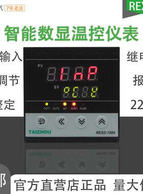 太洲电气 REXD-7131D 数显智能可调温控仪 小型电加热温控器 烤箱
