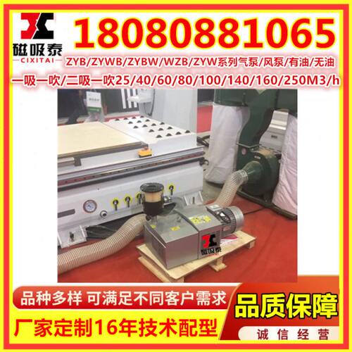 镇江气泵 ZYBW250E250真空压力复合气泵无油风泵 纸板机无油泵