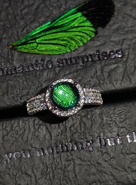 银层华艳创意色蟌轻奢开口银戒指生日礼物创意手工制作首饰成品