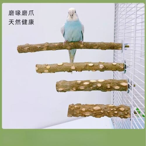 鹩哥八哥鹦鹉花椒木磨爪栖杠啃咬鸟站杆鹦鹉站杆站棍花椒木站杆