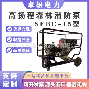 15型高扬程森林消防泵大流量汽油机动泵三级风冷汽油机水泵 SFBC