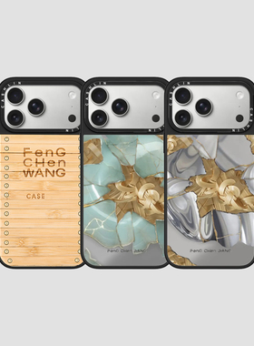 Feng Chen Wang适用iPhone苹果17promax手机壳16promax/15艺术家系列14/13plus/12MagSafe磁吸壳