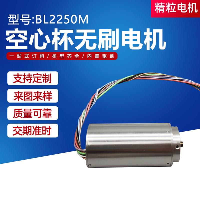BL2250M空心杯无刷无刷直流减速电机12V低噪音微型直流减速
