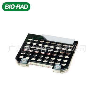 Bio-rad 伯乐 Mini Gel Holder Cassette 转膜夹 1703931 一个