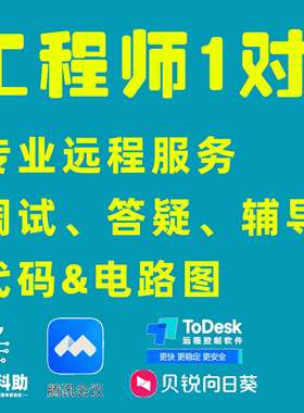 工程师1一对1一 代码Debug 单片机程序调试讲解 远程答疑辅导服务