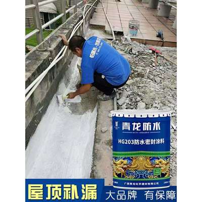 青龙聚氨酯防水涂料Hg203屋面漏缝修补屋面密封胶白色Cq101屋面材