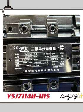 YSJ7114-1HS YSJ7114H-1HS 250W上海金陵电机/上海金陵雷戈勃劳伊
