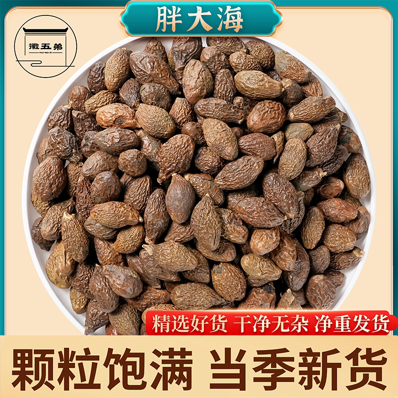 徽五弟精选农家当季新货胖大海颗粒饱满均匀膨胀皮薄质地脆好货