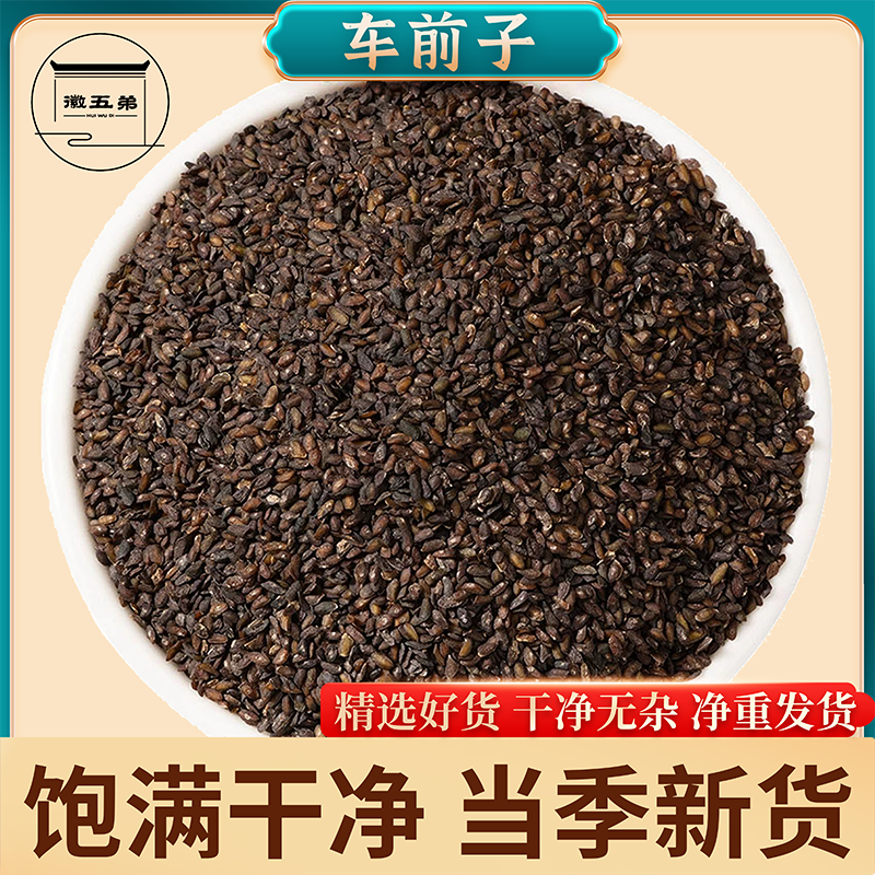 徽五弟正经农家当季新货车前子