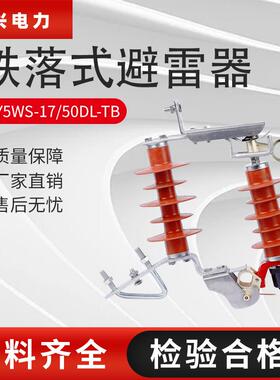 飓兴户外高压氧化锌10v跌落式避雷器HY5WS-17/50DL-TB可卸式12V