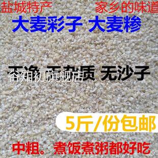 ¥苏北盐城农家特产煮粥煮饭大麦采麦糁子磨碎中粗大麦彩子5斤包