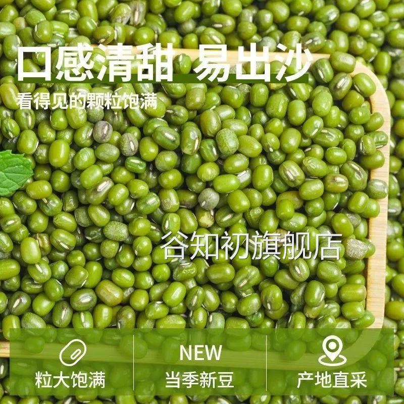 东北新绿豆农家五谷杂粮精品笨小绿豆发芽解暑绿豆汤