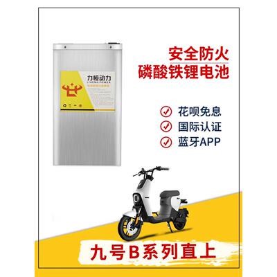 9号电动车B30C锂电池大容量48V锂电磷酸铁锂B35B40B65B80B90B110P