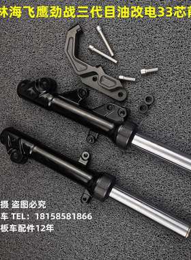 林海飞鹰劲战 三代目前避震器油改电鹿城33芯实心右碟前避震转接