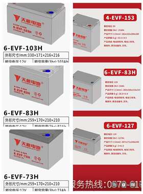 天能电池四轮车12v73ah83ah103ah120ah150ah轿车扫地观光巡逻电瓶