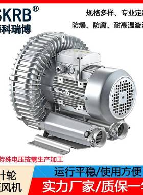 一件2GH710-H37380V4KW吹吸两用漩涡高压鼓风机旋涡式气泵