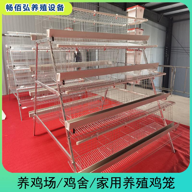 四层四门阶梯蛋鸡笼阶梯式养殖蛋鸡窝A型蛋鸡笼热镀丝