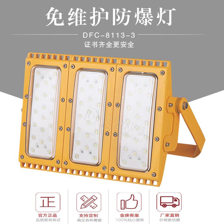 防爆投光灯led150w120w低36V48V隔爆型防爆灯可调角度立式支架式