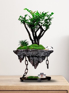 假山摆件中式家居桌面摆放装饰小叶紫檀绿植盆景创意乔迁开业礼品