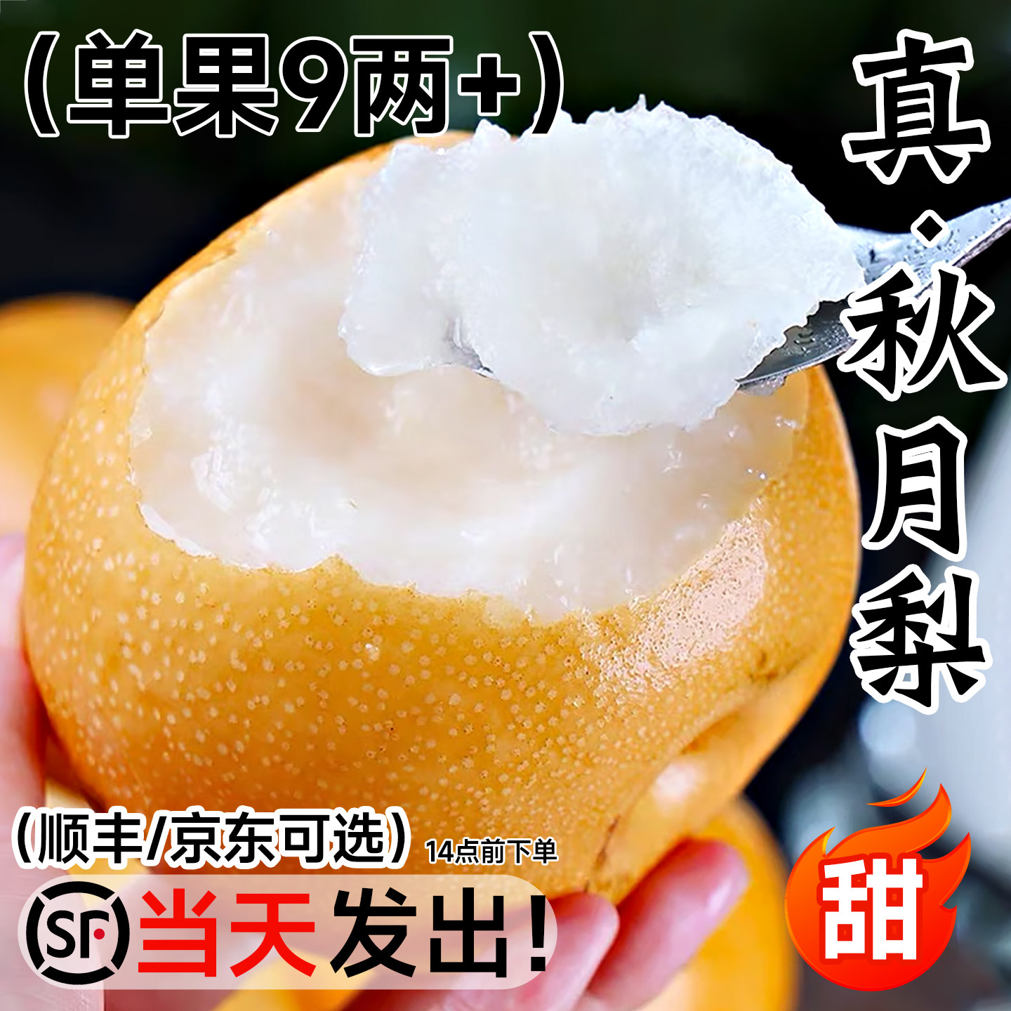 正宗秋月梨官方力荐顺丰次日达